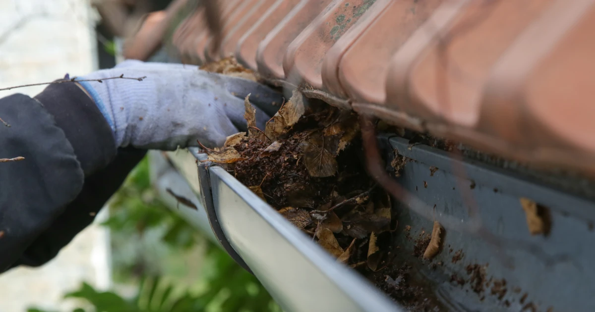 A gloved hand clearing wet leaves and debris from a metal gutter along a tiled roof edge.