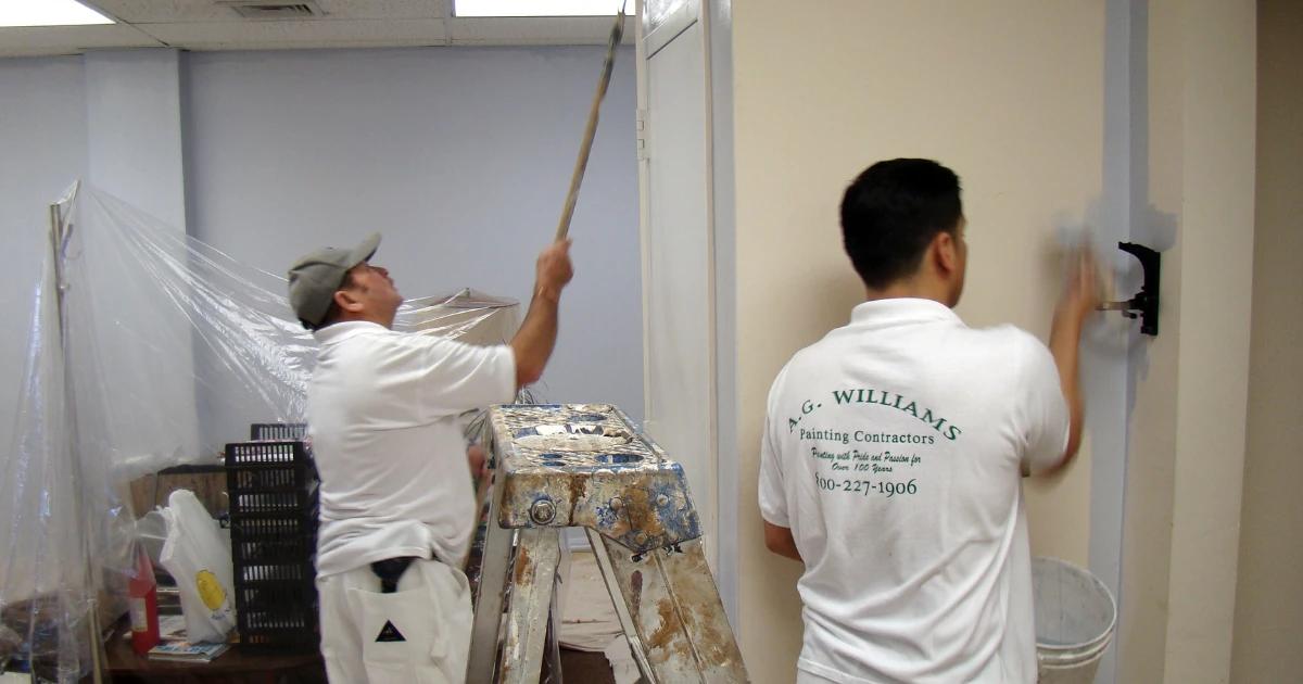 Two A.G. Williams painters working in a masked and protected reception area, one cutting in a ceiling line and one rolling a wall.
