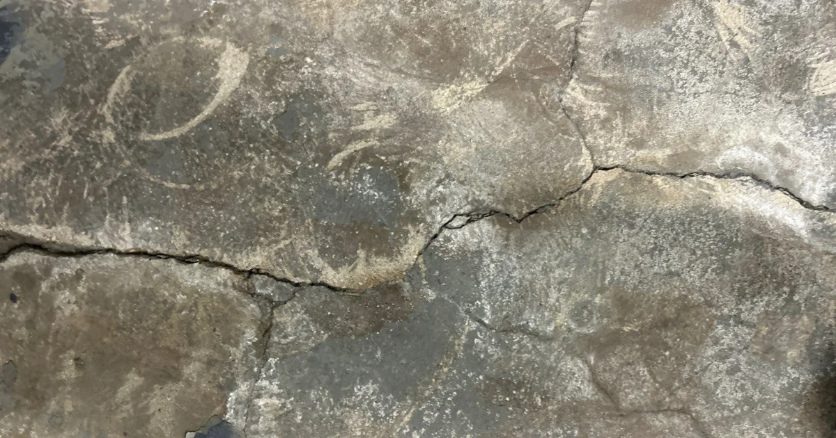 Close-up of intersecting cracks and worn repairs in a concrete floor.