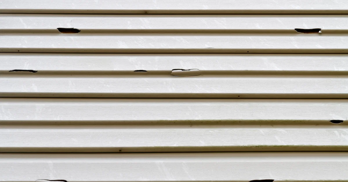 Close-up of light-colored vinyl siding with cracks, holes, and green mildew staining.