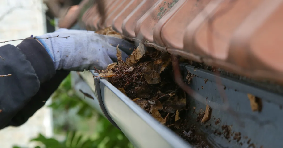 A gloved hand removes wet leaves and debris from a roof gutter.